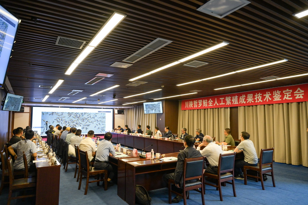 5月6日，在川陕哲罗鲑全人工繁殖成果技术鉴定会上，与会专家对“川陕哲罗鲑全人工繁殖技术研究”成果项目进行讨论鉴定。新华社记者 王曦 摄