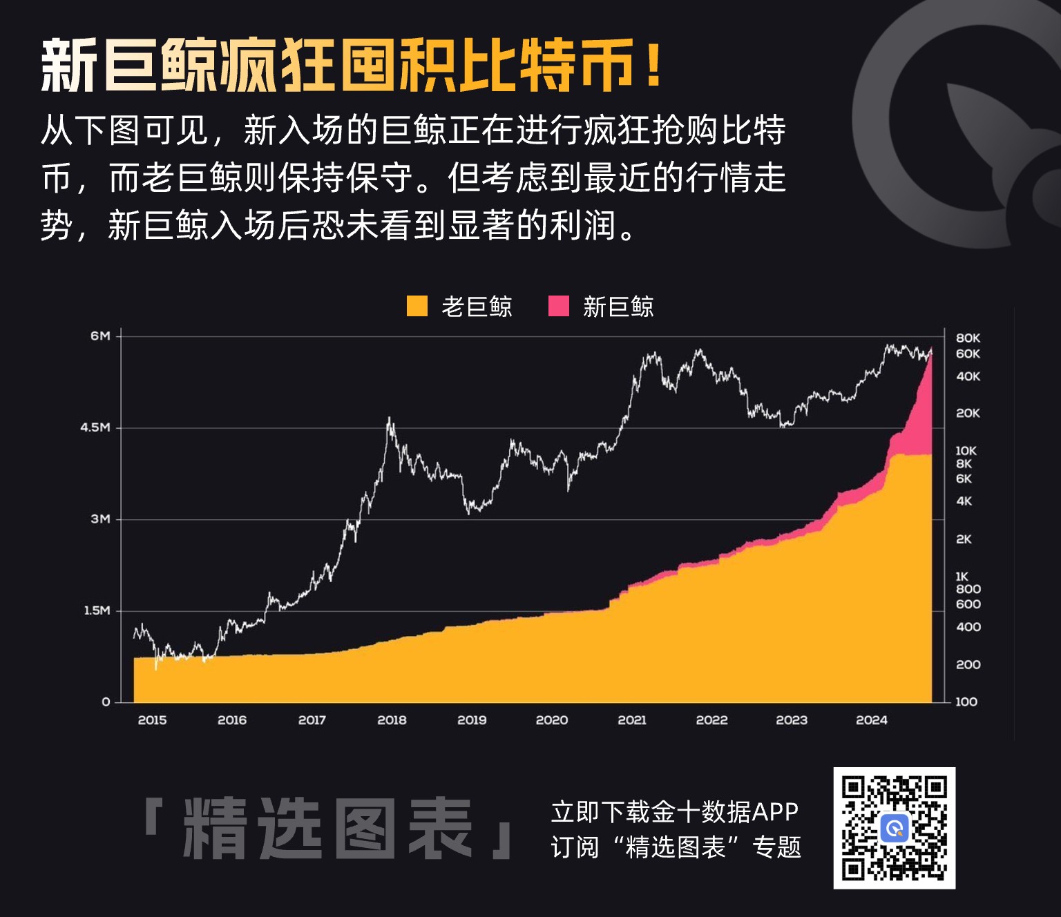 新巨鲸疯狂囤积比特币！