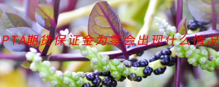 PTA期货保证金为零会出现什么情况