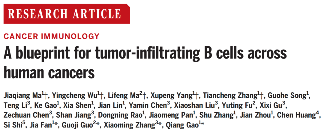 专家点评Science | 樊嘉/高强/张晓明/郭国骥合作揭示B细胞在肿瘤微环境中的早期滤泡外应答