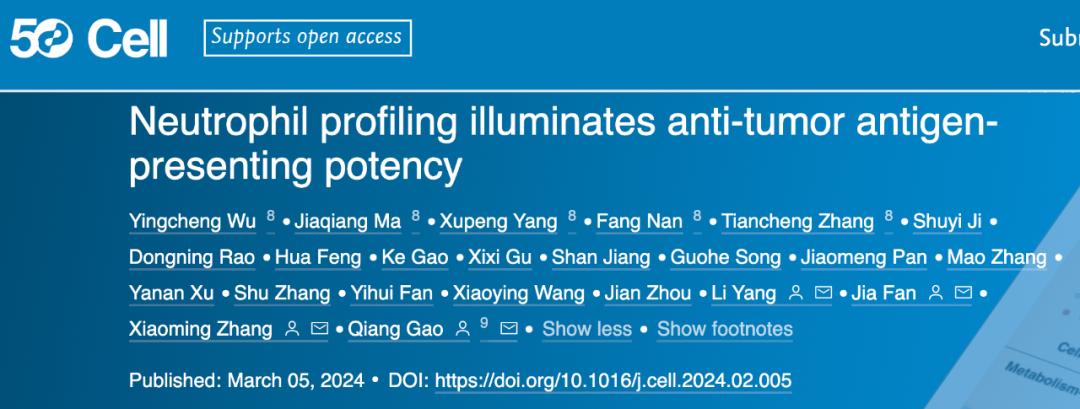 Cell丨樊嘉/高强/张晓明/杨力合作揭示中性粒细胞的抗肿瘤潜能:抗原提呈