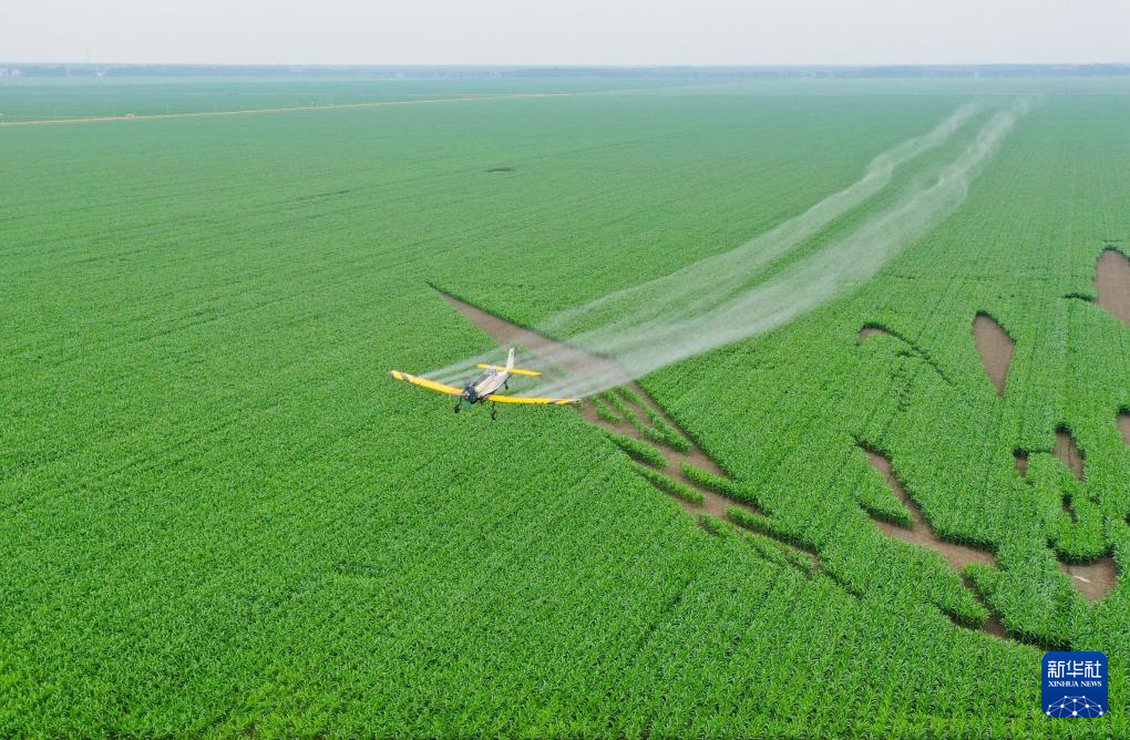 粮仓“北大荒”绘就农耕绿色画卷