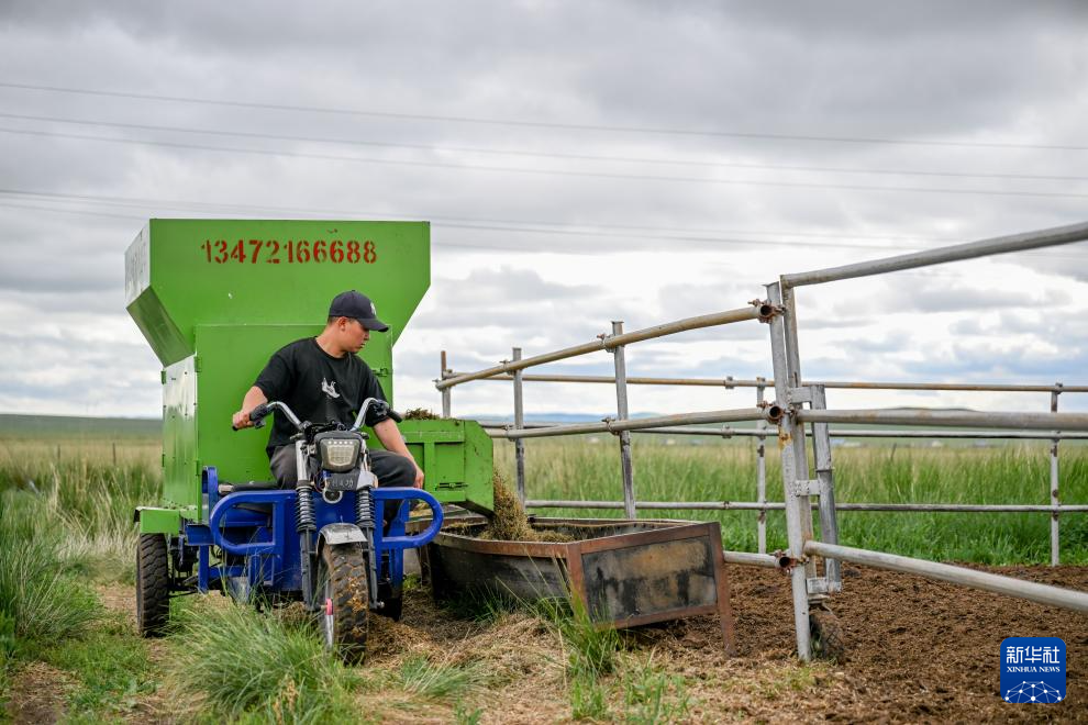 草原新牧人绘出生活新图景