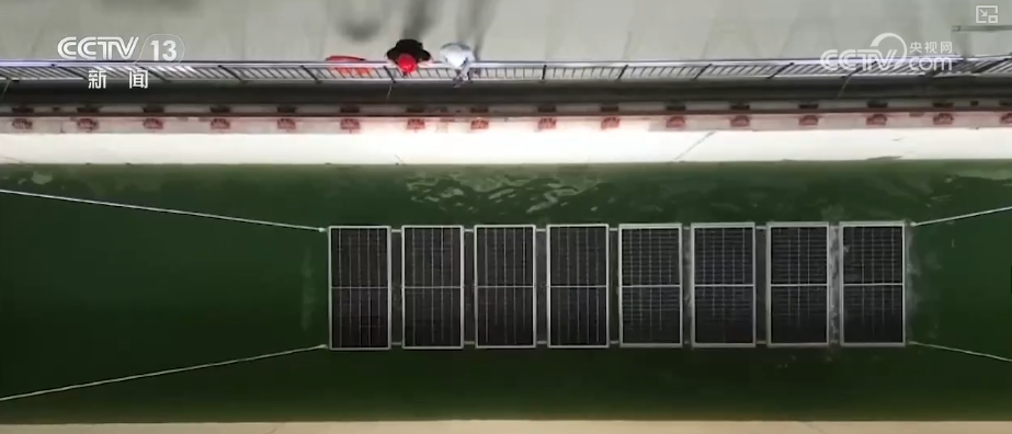 科技合作,共赢发展!上合组织国家多元化合作 为可持续发展提供强劲支撑