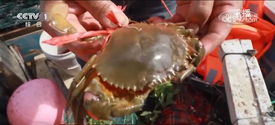 人气足、消费火!双节临近文旅市场热度攀升 消费市场供需两旺